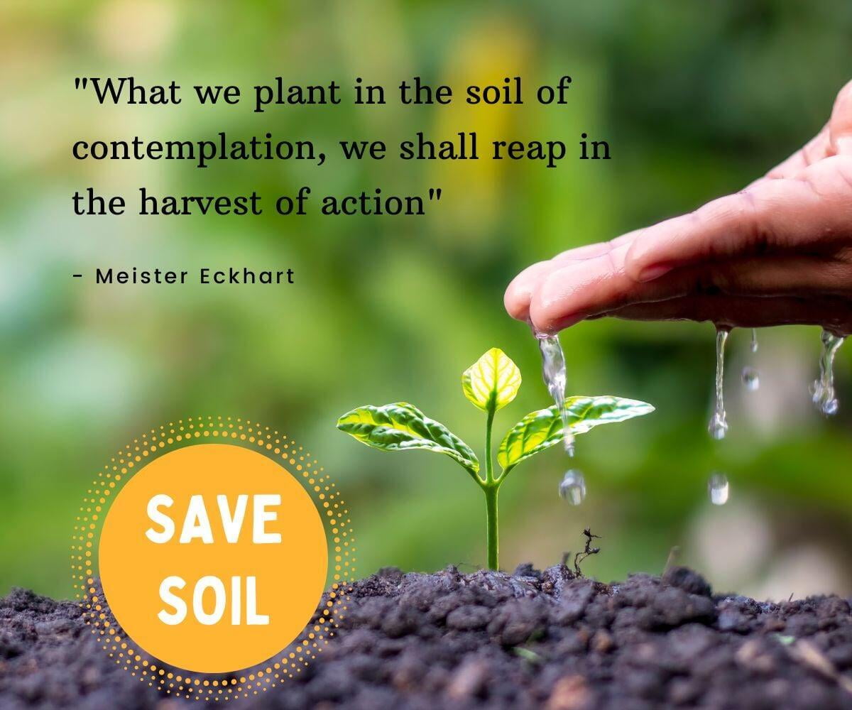 Soil is dying?